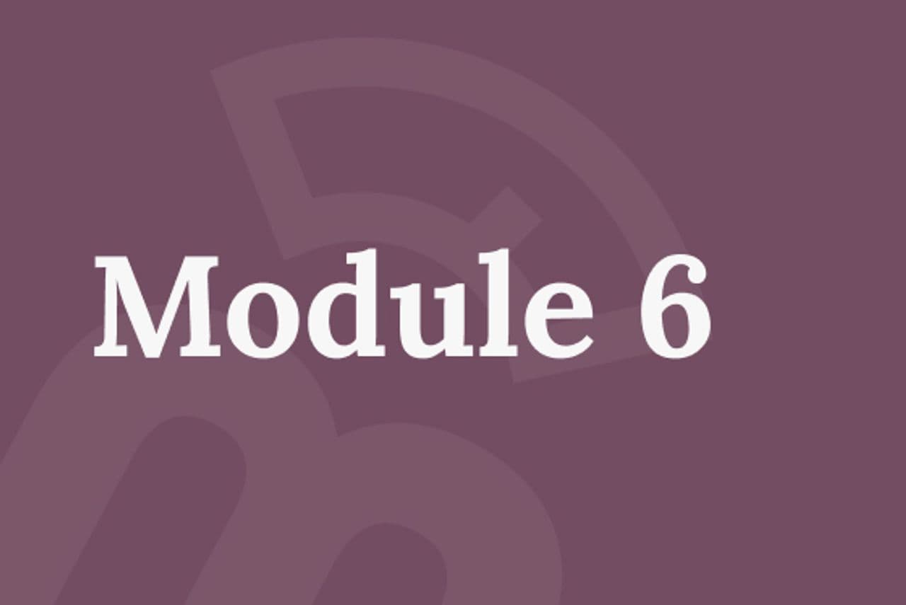 module 6