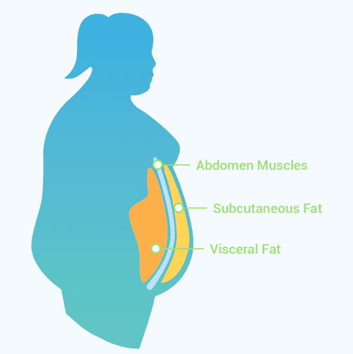 What is Visceral Fat?