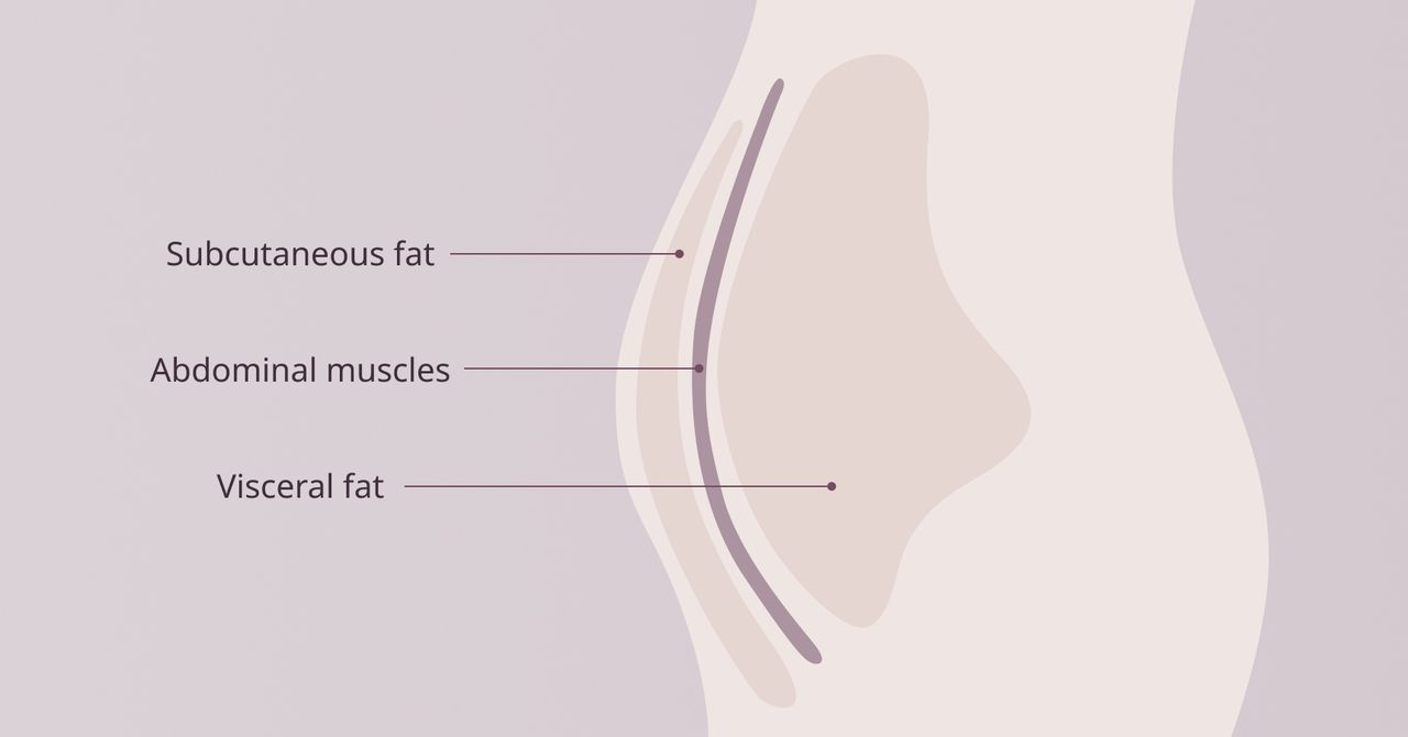 tirzepatide and visceral fat What Is Visceral Fat | How To Reduce Visceral Fat