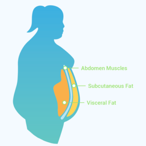 what is visceral fat