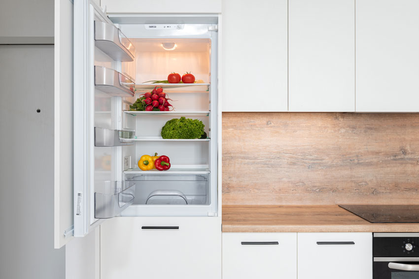 a healthy fridge open